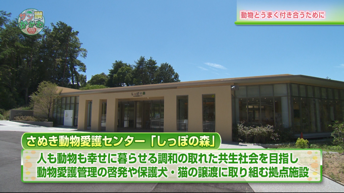さぬき動物愛護センター「しっぽの森」 サン讃かがわ2021年9月16日放送
