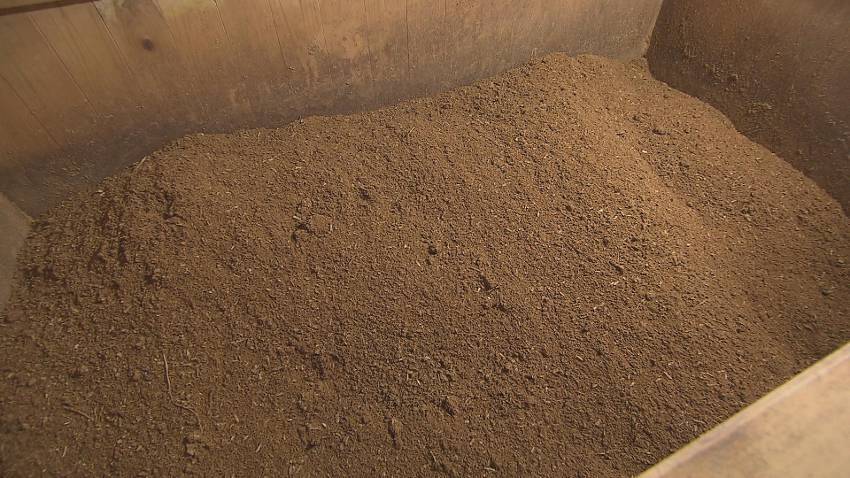 ロッチも人生初！？　微生物の発酵熱を利用する変わった温浴法を体験！！… ひのき酵素風呂　元気でる堂（金バク！2021年11月26日OA）