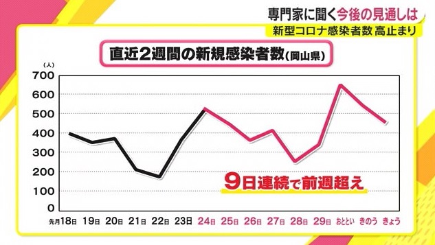 専門家2