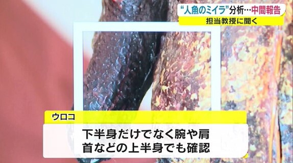 人魚のミイラ中間04