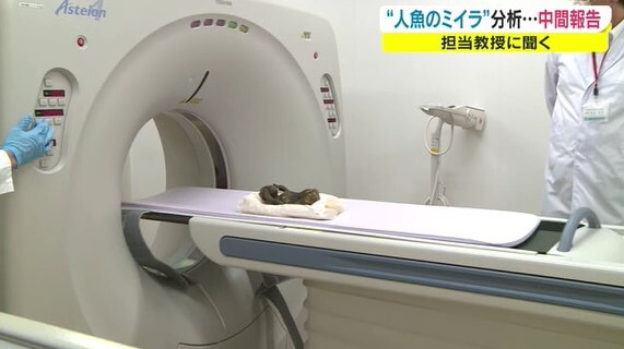 人魚のミイラ中間02-2