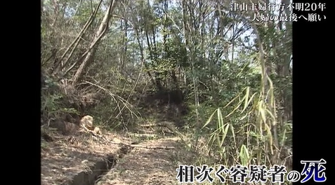 つやま　１１