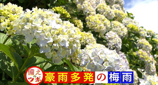 つぼ 1