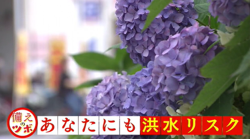 つぼ 2