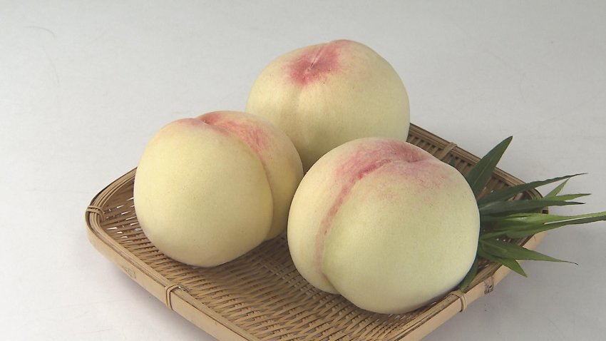 浅口市も一大産地？生産だけでなく、加工品なども扱う桃農家を直撃！…佐藤果樹園（金バク！2022年 7月29日OA）