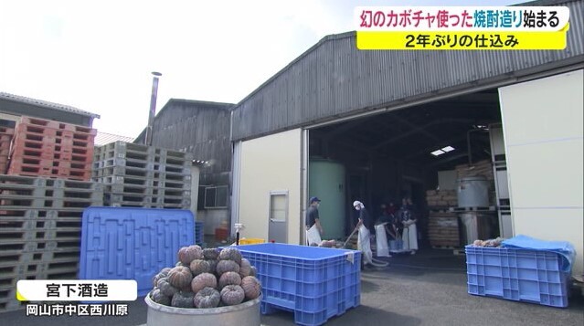 かぼちゃ焼酎02