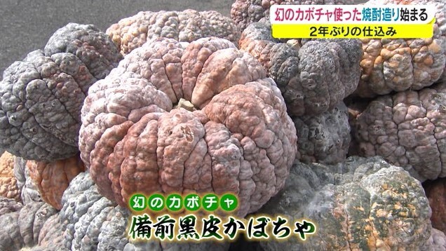 かぼちゃ焼酎04
