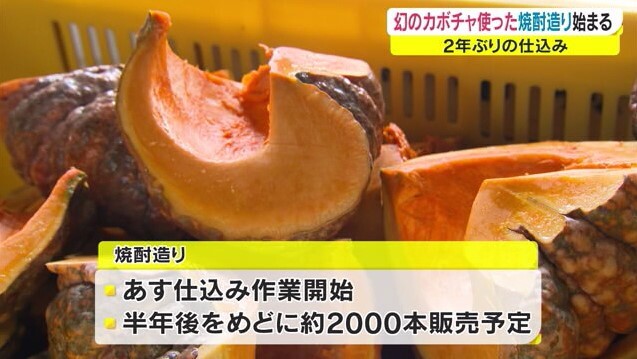 かぼちゃ焼酎09