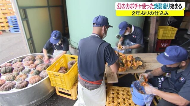 かぼちゃ焼酎03