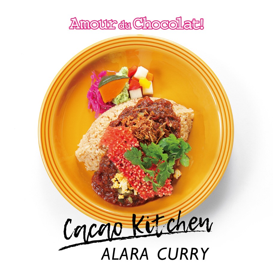 4   ALARA CURRYイメージ_IMG_3876