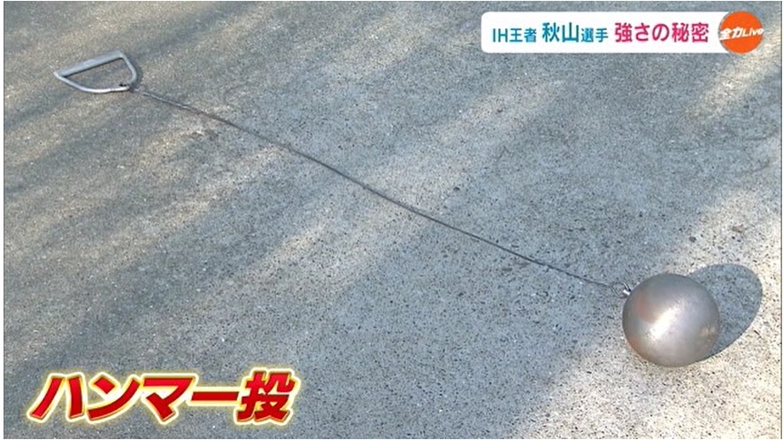 ハンマー③