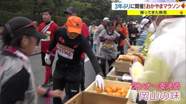 おかやまマラソン17