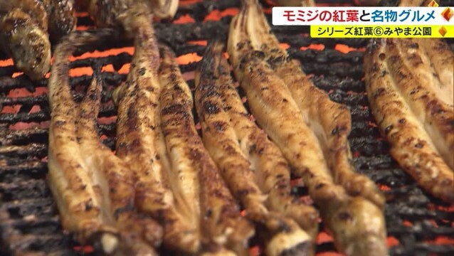 みやま公園 焼きアナゴ