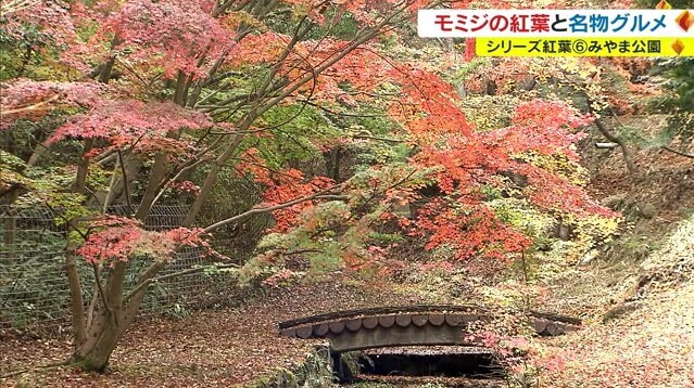 みやま公園 紅葉