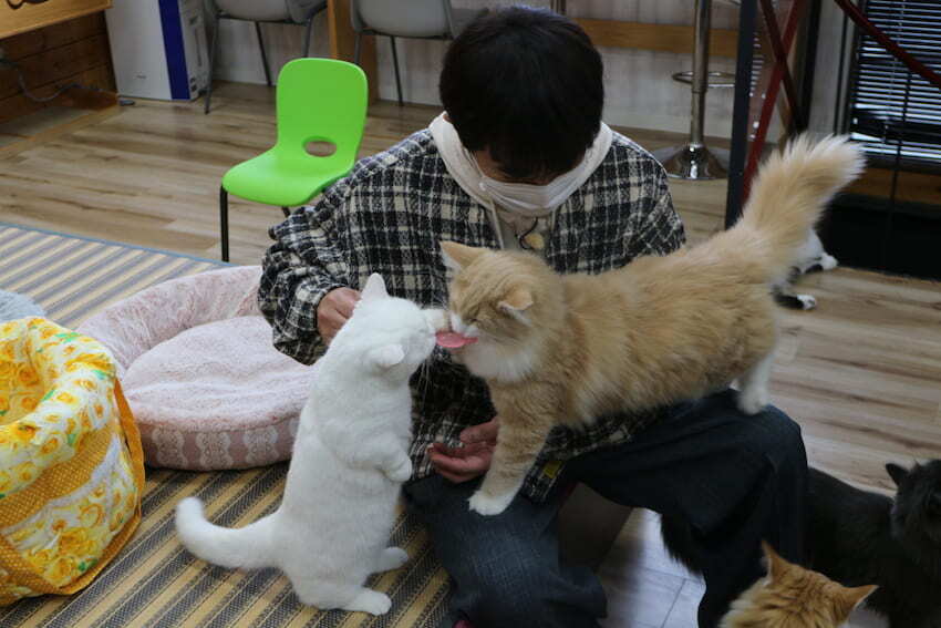 0113kin-6