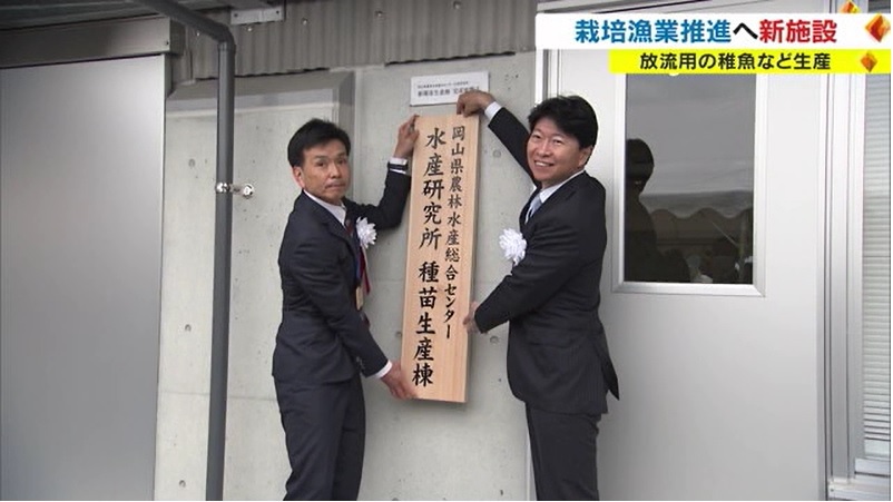 栽培漁業01