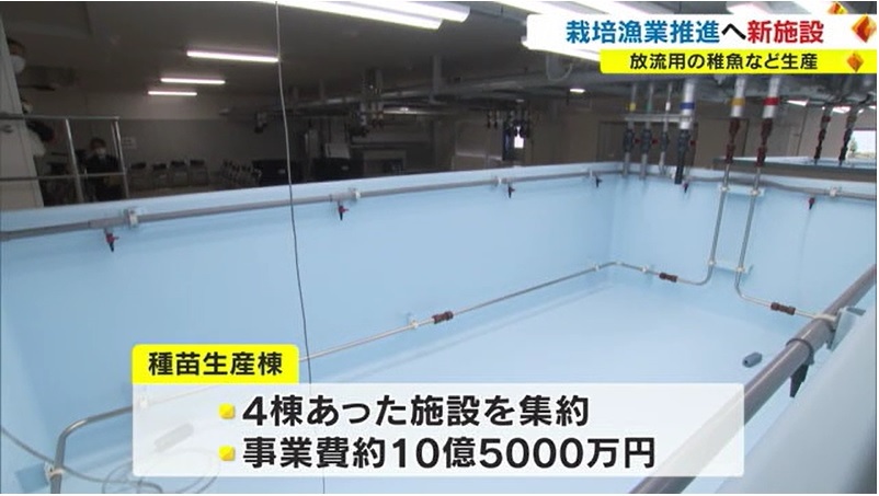 栽培漁業03