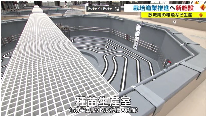 栽培漁業05