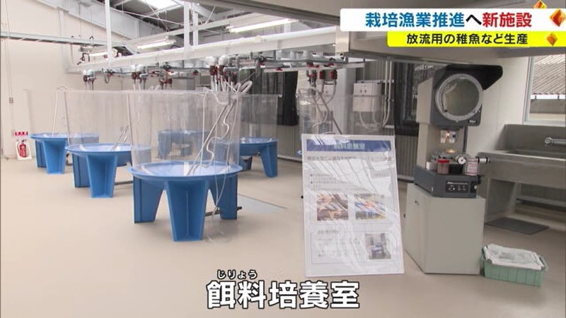 栽培漁業06