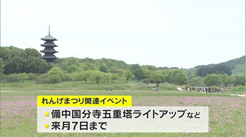 れんげまつり07