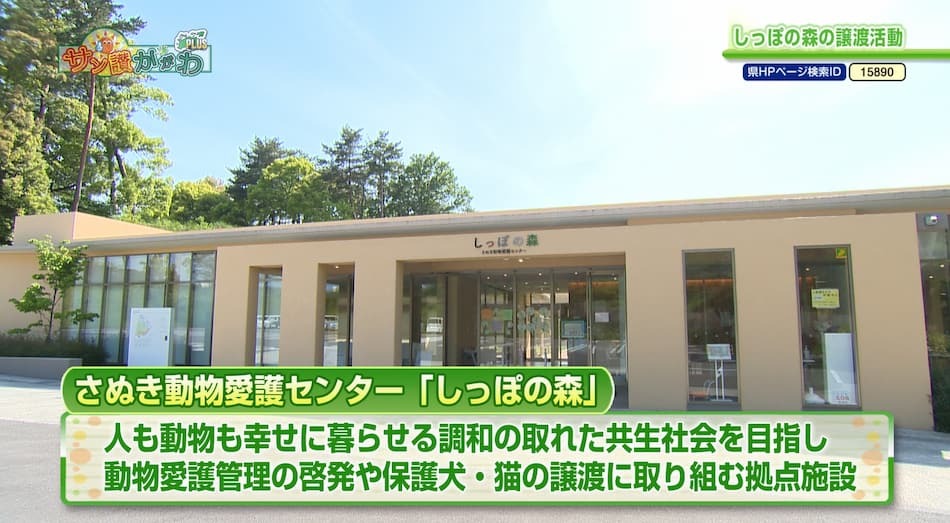しっぽの森の譲渡活動　2023年 6月 15日放送