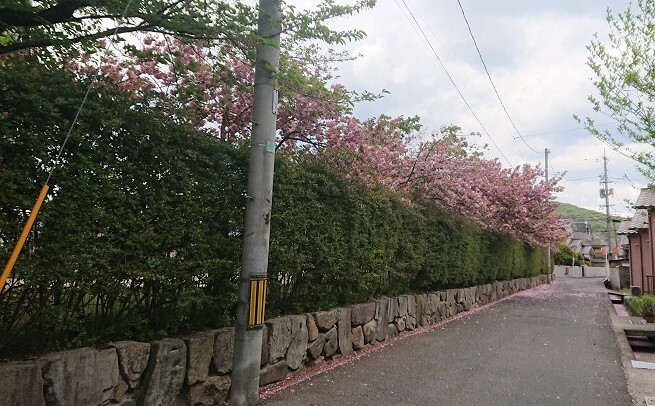 萩原04272