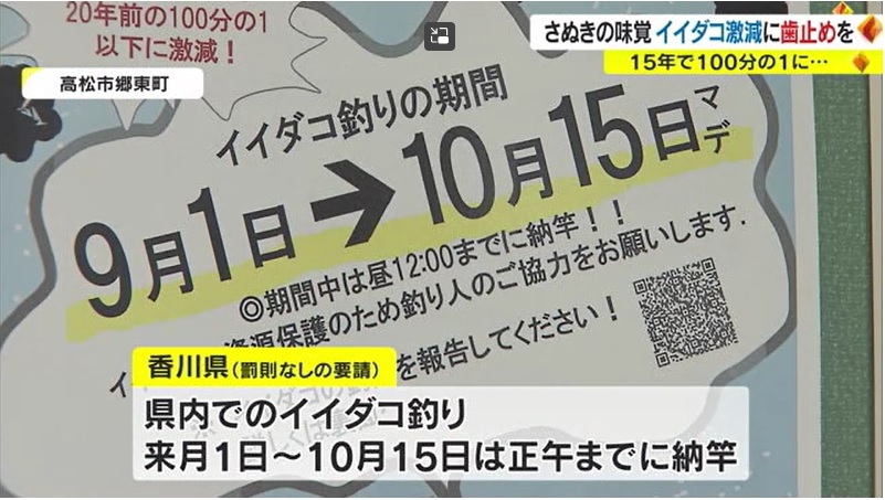 イイダコ04