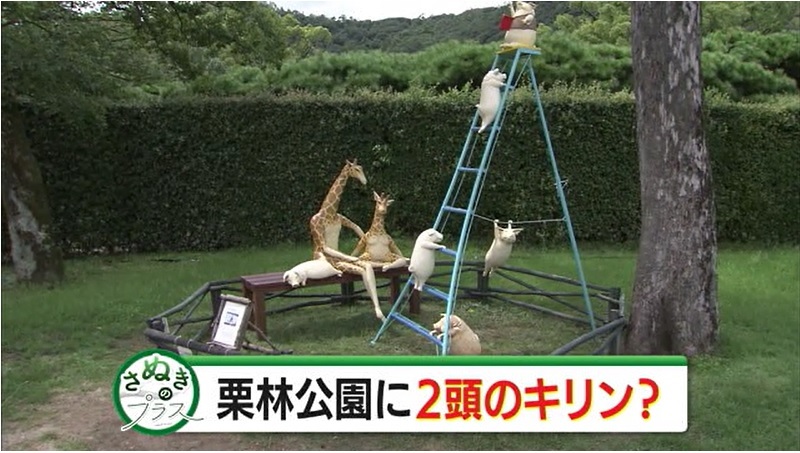 0905 さぬプラ キリン