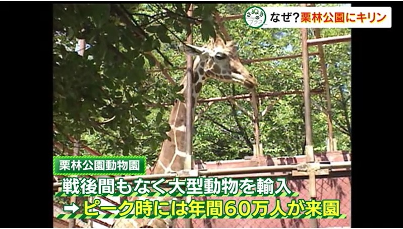 0905 さぬプラ キリン08