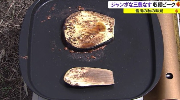 ナス1