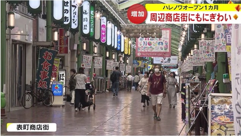 ハレノワ1ヵ月10