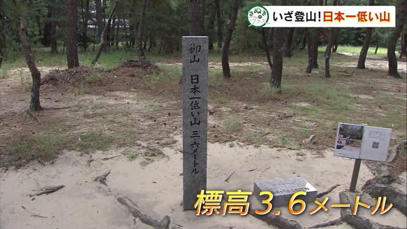 さぬプラ　日本一低い山06