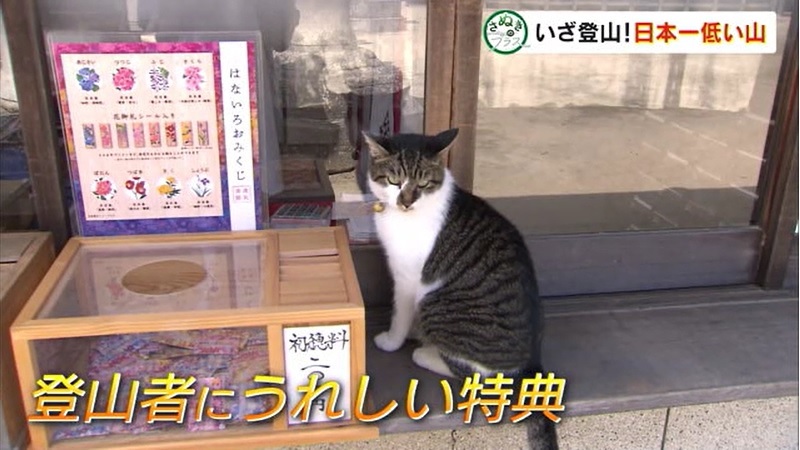 さぬプラ　日本一低い山09
