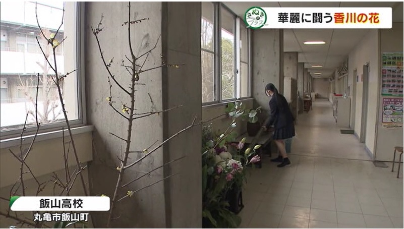 さぬプラ 花いけバトル02