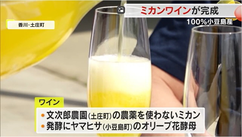 ミカンワイン02