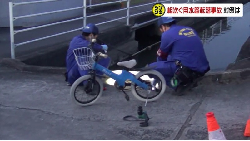 シンソウ 用水路01