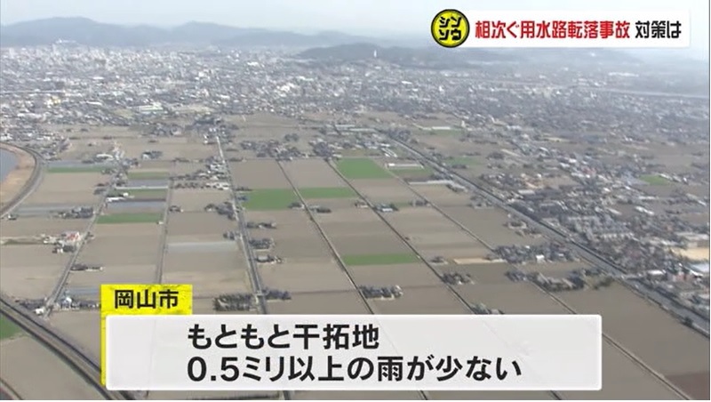 シンソウ 用水路04
