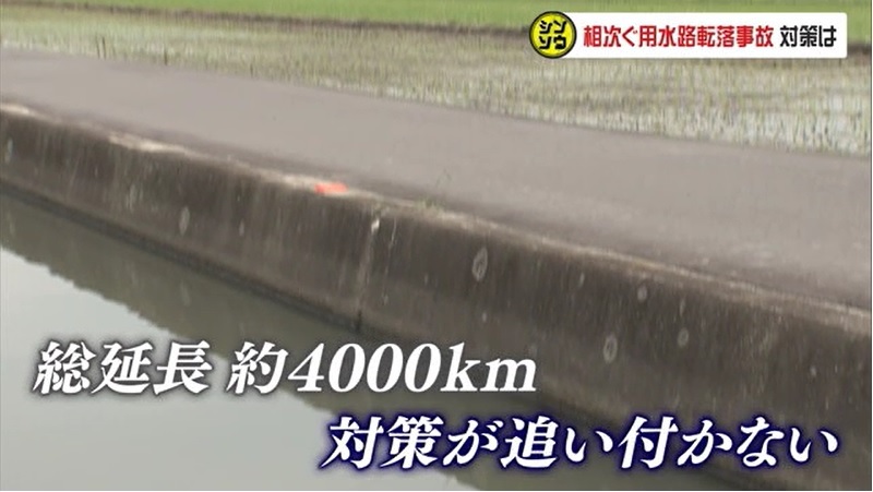 シンソウ 用水路05