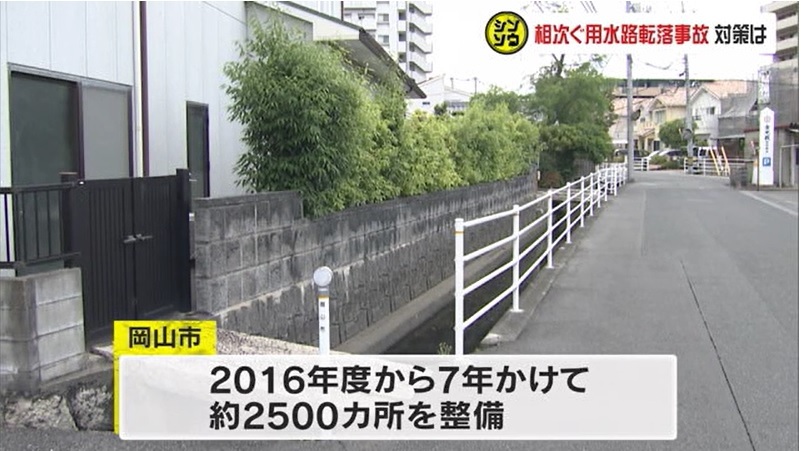シンソウ 用水路07