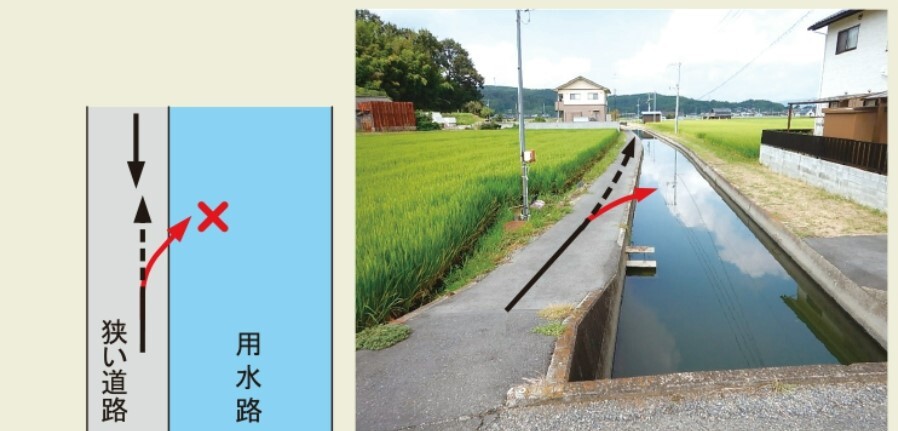 シンソウ 用水路08