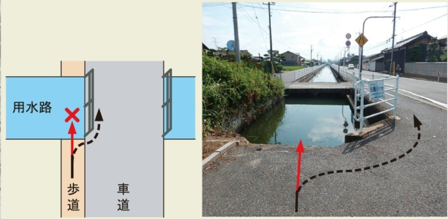 シンソウ 用水路09