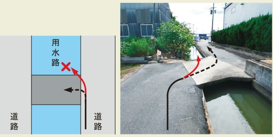 シンソウ 用水路11