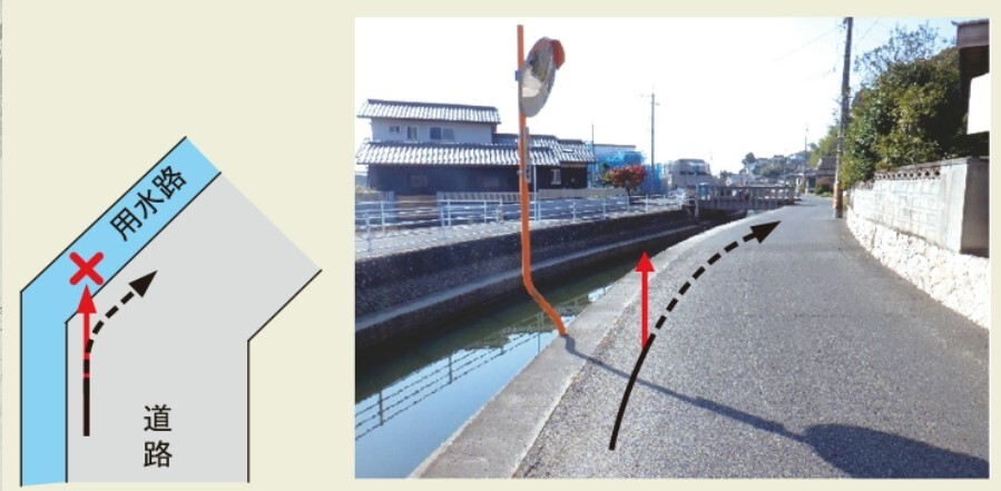 シンソウ 用水路12