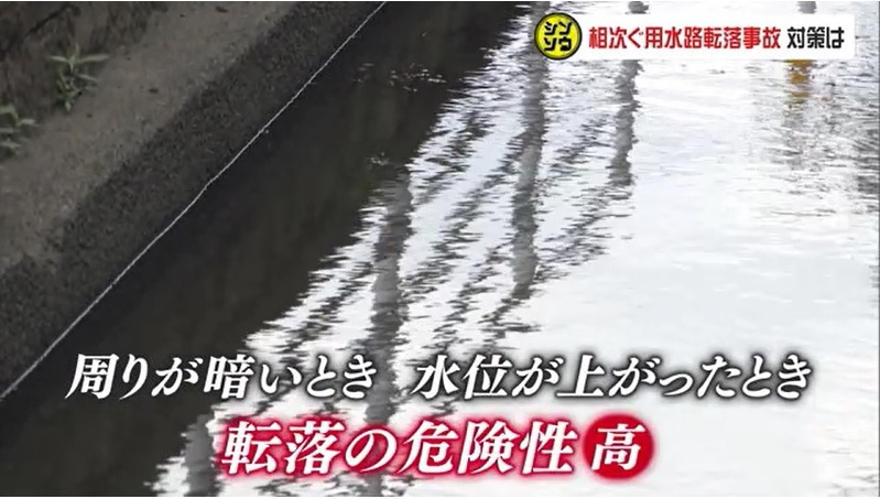 シンソウ 用水路12-1