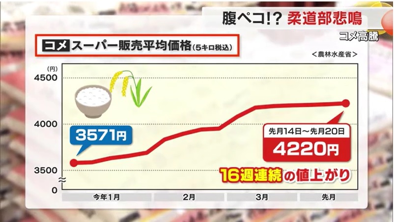 柔道部にコメ高騰10