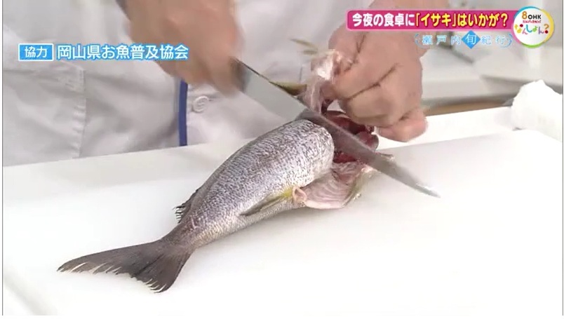 旬紀行 イサキ06-2 さばき 頭
