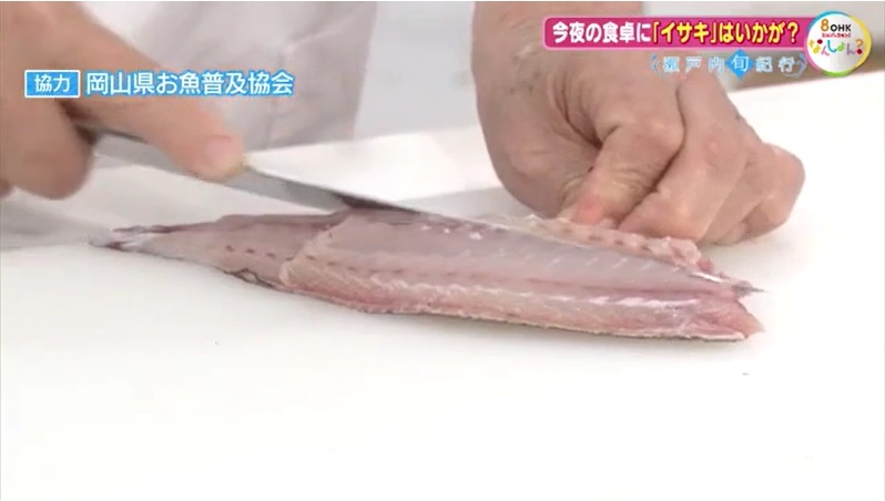旬紀行 イサキ06-5