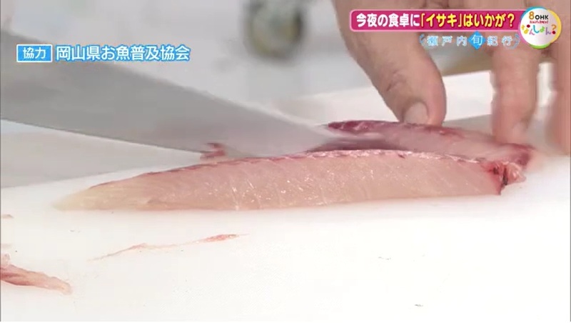 旬紀行 イサキ06-10
