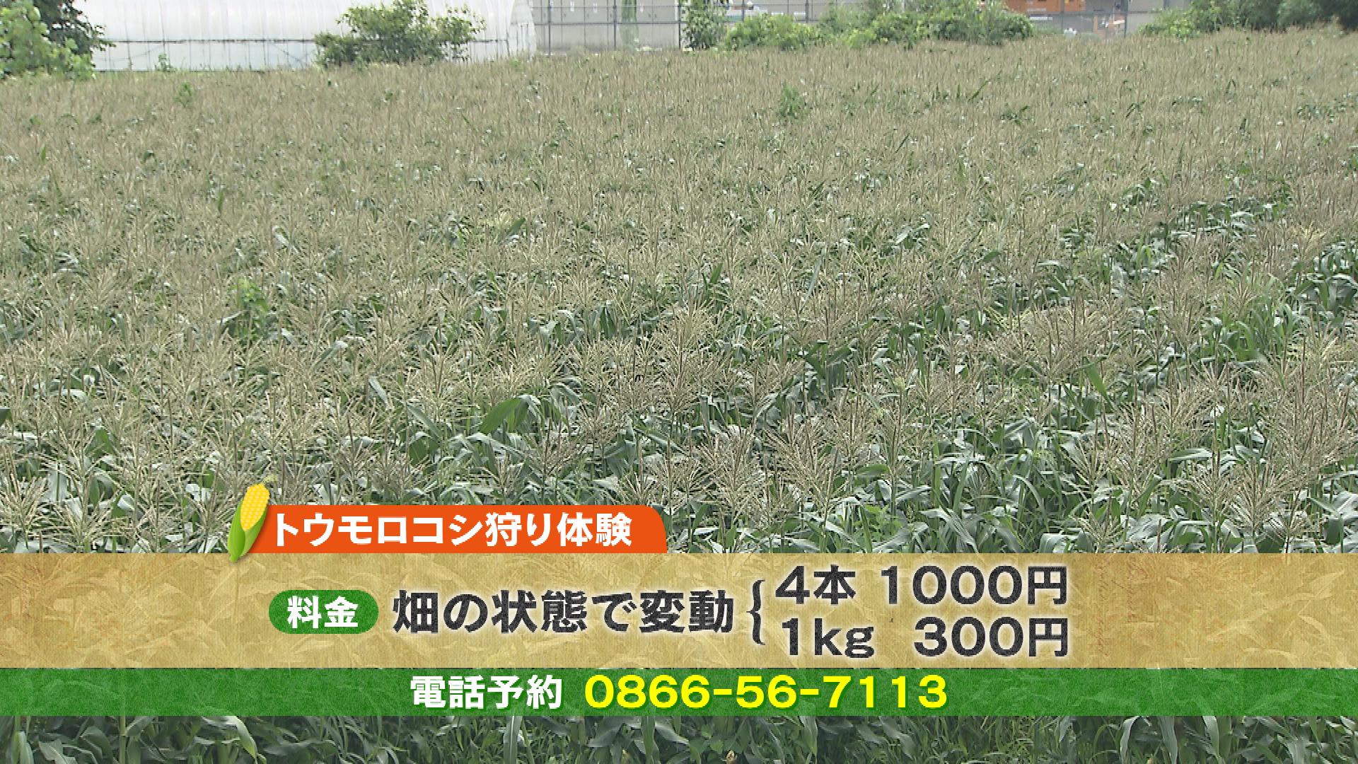 20170718宮木牧場