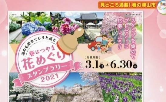 花めぐり